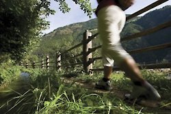 Für Freizeitläufer und Aktive: Laufwoche mit 7-fach Masters-Weltmeister Albert Rungger
